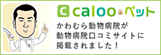 Calooペット