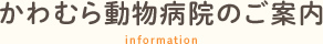 かわむら動物病院のご案内