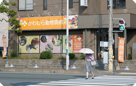 かわむら動物病院