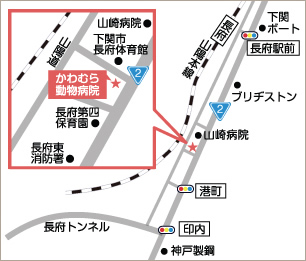 かわむら動物病院周辺地図