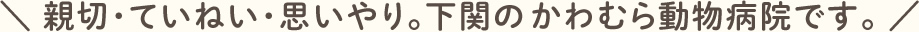 親切・ていねい・思いやり。下関のかわむら動物病院です。