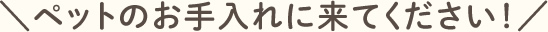 ペットのお手入れに来てください！