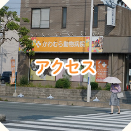 アクセス