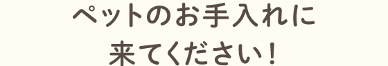 ペットのお手入れに来てください！